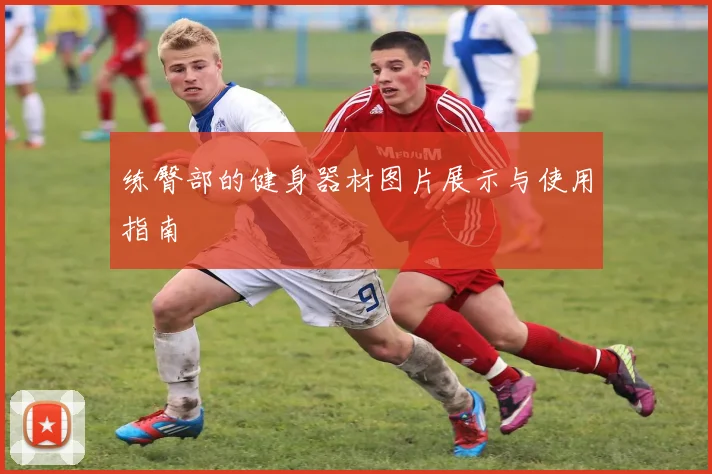练臀部的健身器材图片展示与使用指南